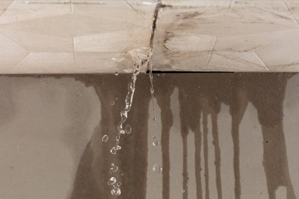 Professional Water Damage Repair technician working in North Grafton, MA